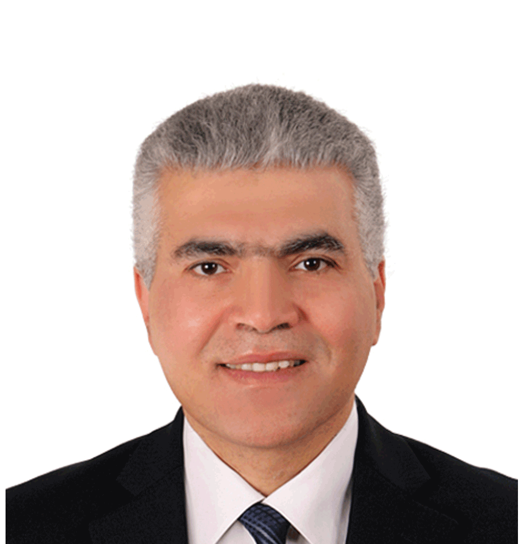 Asst. Prof. Dr. Ashraf Elsayed